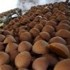 Gula Merah Asli Tanpa Pengawet Murah di Cilacap - Image 2