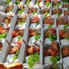 TERIMA PESANAN AYAM CRISPY SEHAT HALAL MURAH DI SLEMAN - Image 3