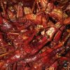 JUAL WALANG GORENG SUMBER PROTEIN KEMASAN TOPLES - Image 10